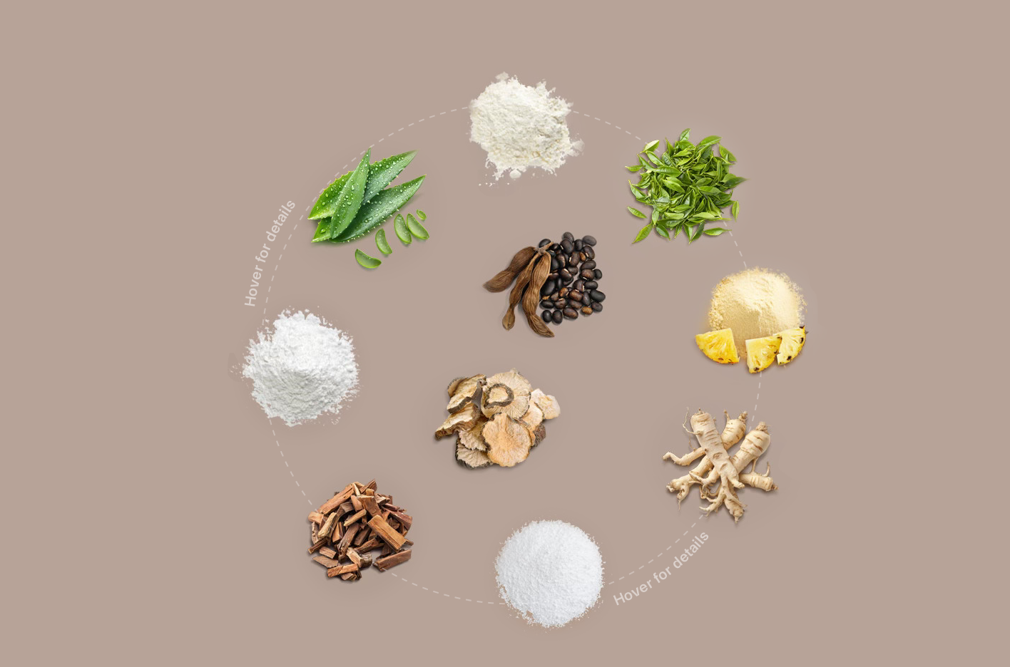 Ingredients Media
