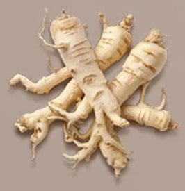 Asian Ginseng Root