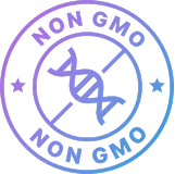 GMO Icon